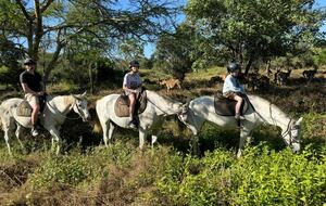 Private Courtyard Villa with Chef at Kili Golf - Usa River, Tanzania