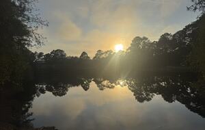 Forest Lakes Coastal Cottage - Santa Rosa Beach, Florida