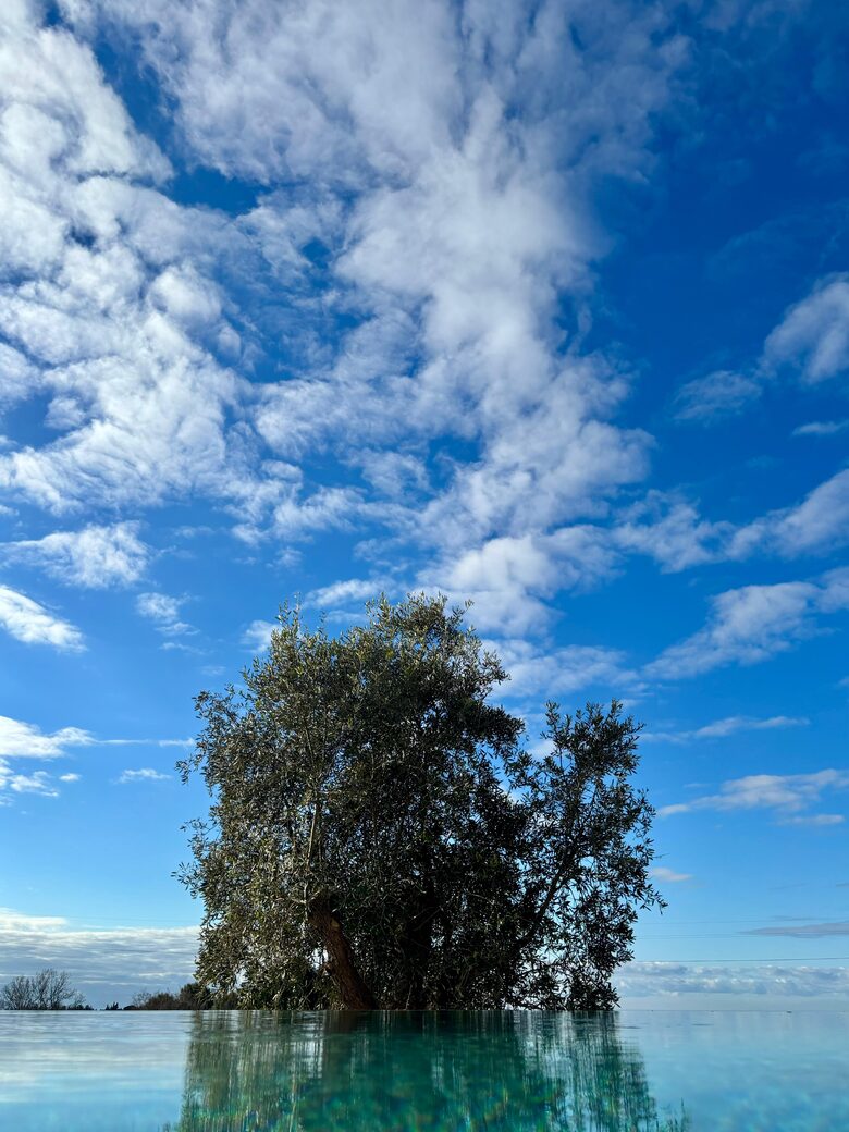 Eighteenth Century Tuscan Farmhouse with Olive Grove - Guardistallo, Italy