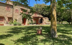 Eighteenth Century Tuscan Farmhouse with Olive Grove - Guardistallo, Italy