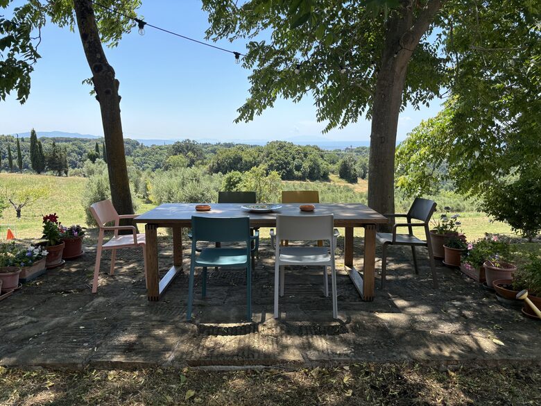 Eighteenth Century Tuscan Farmhouse with Olive Grove - Guardistallo, Italy