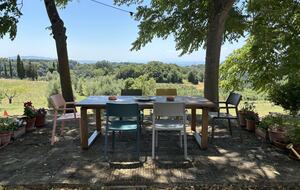 Eighteenth Century Tuscan Farmhouse with Olive Grove - Guardistallo, Italy
