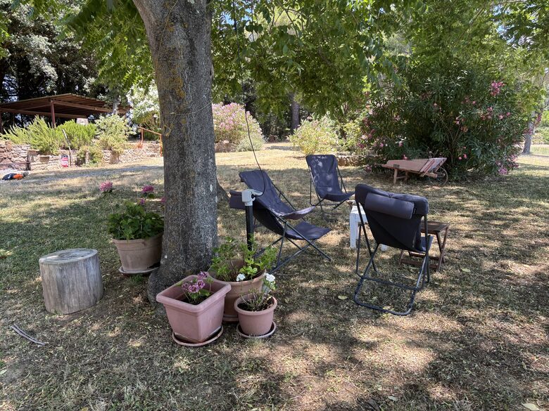Eighteenth Century Tuscan Farmhouse with Olive Grove - Guardistallo, Italy