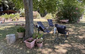 Eighteenth Century Tuscan Farmhouse with Olive Grove - Guardistallo, Italy