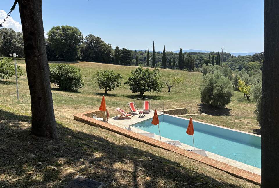 Eighteenth Century Tuscan Farmhouse with Olive Grove - Guardistallo, Italy