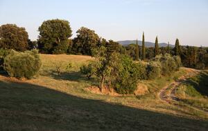 Eighteenth Century Tuscan Farmhouse with Olive Grove - Guardistallo, Italy