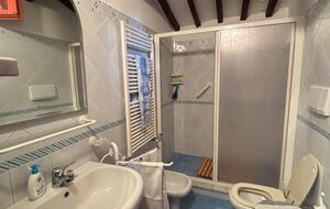 Eighteenth Century Tuscan Farmhouse with Olive Grove - Guardistallo, Italy