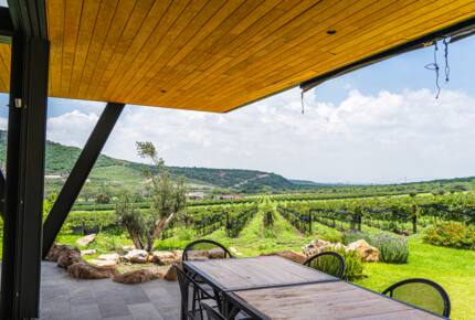 The Vines at Puerta del Lobo - Querétaro, Mexico