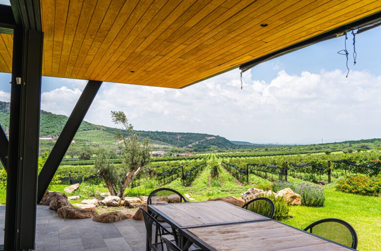The Vines at Puerta del Lobo - Querétaro, Mexico