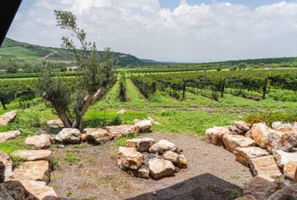 The Vines at Puerta del Lobo - Querétaro, Mexico