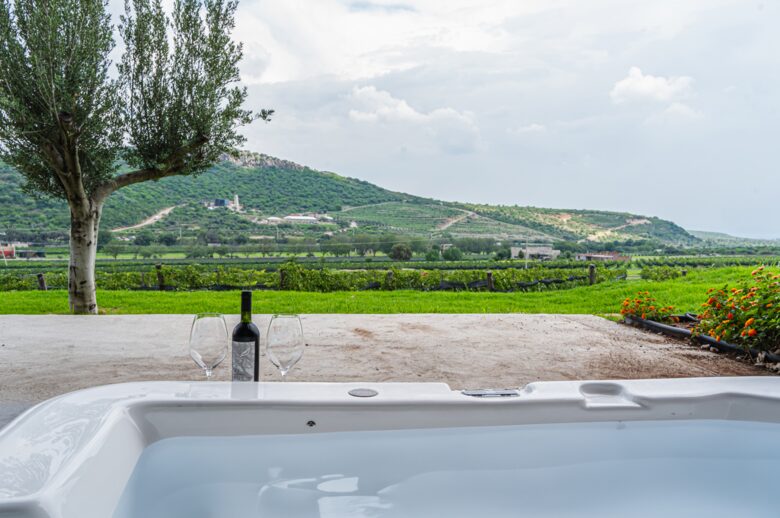 The Vines at Puerta del Lobo - Querétaro, Mexico