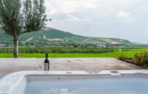 The Vines at Puerta del Lobo - Querétaro, Mexico