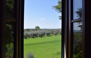 Roman Hill Farmhouse - Monte San Savino, Italy