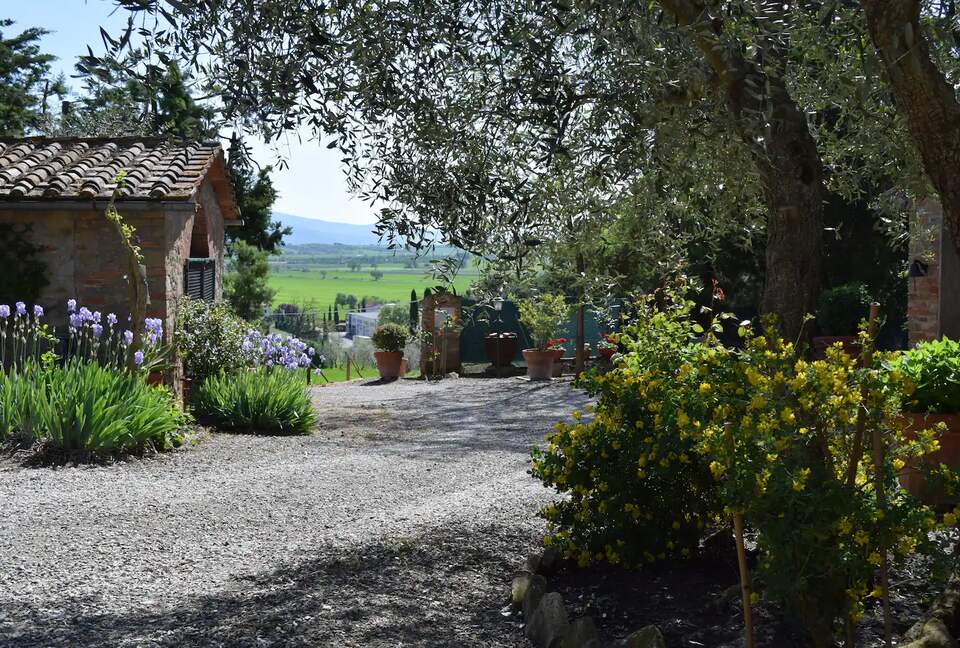 Roman Hill Farmhouse - Monte San Savino, Italy