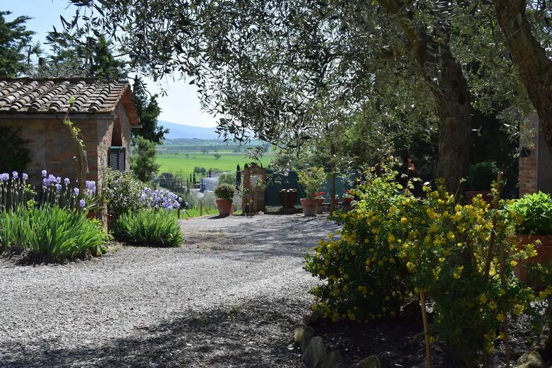 Roman Hill Farmhouse - Monte San Savino, Italy