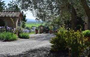 Roman Hill Farmhouse - Monte San Savino, Italy