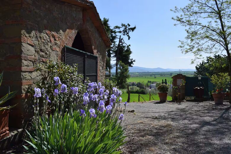 Roman Hill Farmhouse - Monte San Savino, Italy