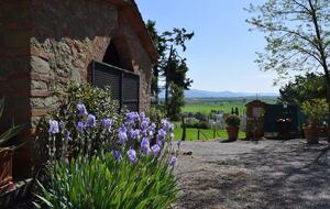 Roman Hill Farmhouse - Monte San Savino, Italy