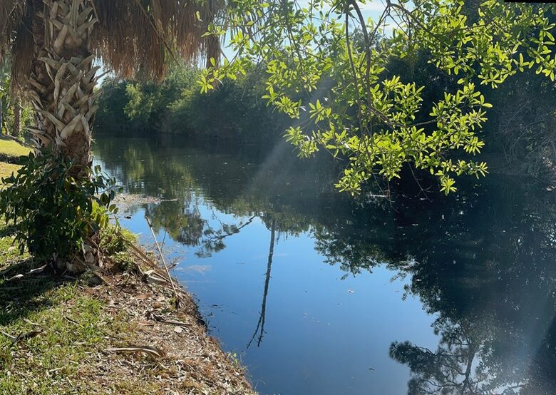 Canal-Front Naples Escape with Heated Pool - Naples, Florida