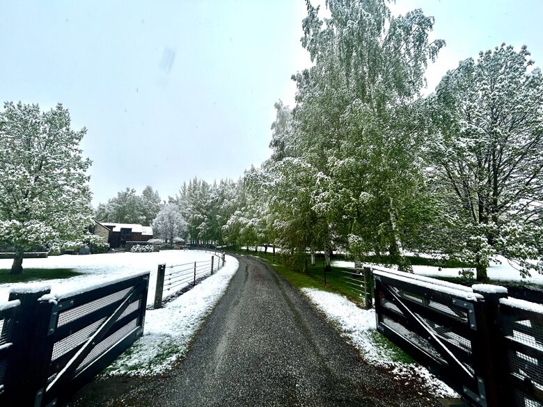 Arrowtown Country House Near Ayrburn and Lake Hayes - Queenstown, New Zealand