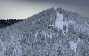 Renovated Tahoe Escape Near Beaches & Trails - Incline Village, Nevada
