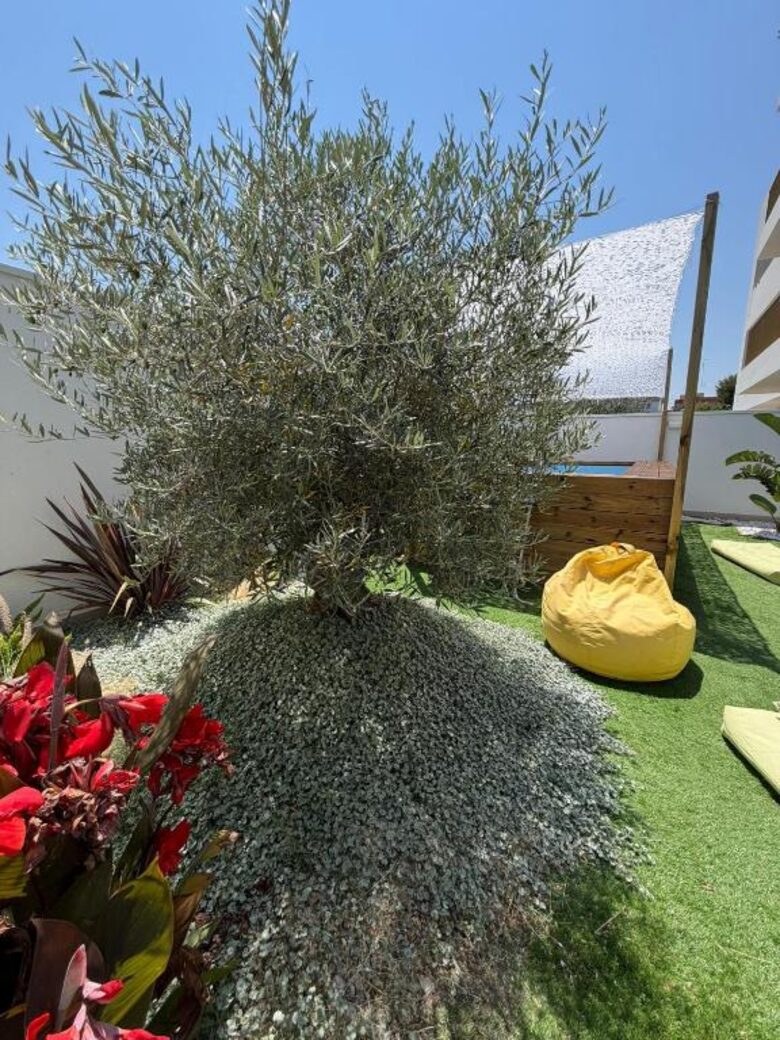 Coastal Comfort with Private Pool - Santo Spirito, Bari, Italy