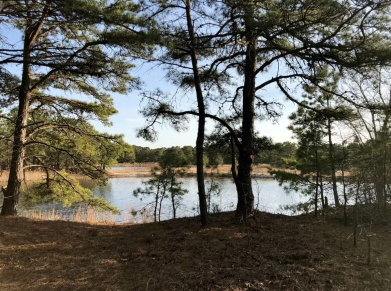 Private Spring-Fed Lake Retreat Near Cape May - Cape May Court House, New Jersey
