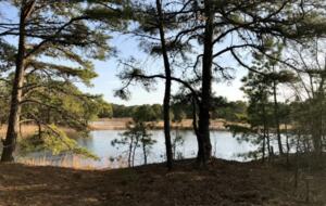 Private Spring-Fed Lake Retreat Near Cape May - Cape May Court House, New Jersey