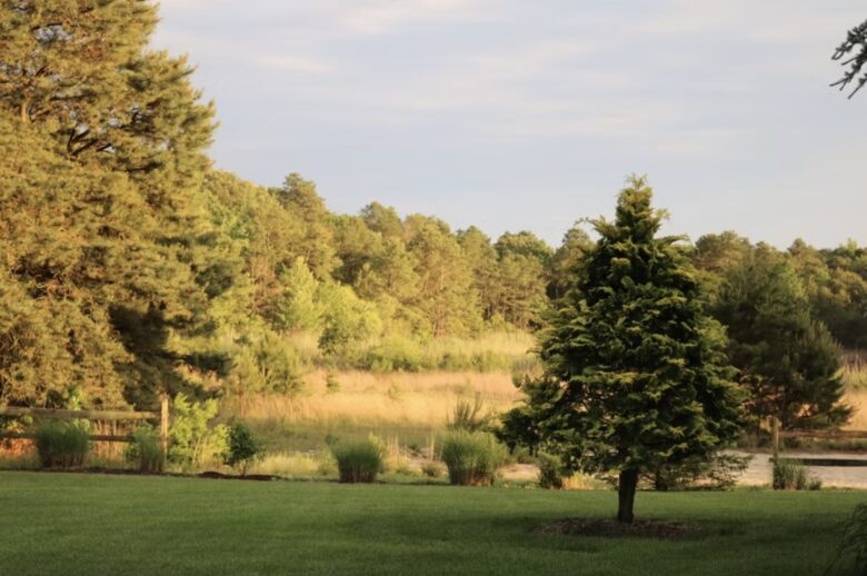 Private Spring-Fed Lake Retreat Near Cape May - Cape May Court House, New Jersey