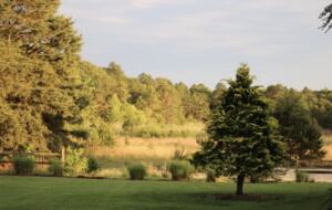 Private Spring-Fed Lake Retreat Near Cape May - Cape May Court House, New Jersey