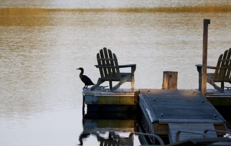 Private Spring-Fed Lake Retreat Near Cape May - Cape May Court House, New Jersey