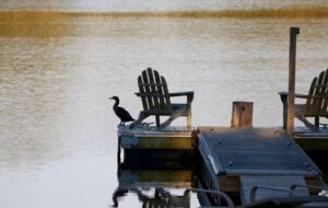 Private Spring-Fed Lake Retreat Near Cape May - Cape May Court House, New Jersey