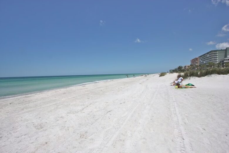 Gulf-View Beachfront Condo in Indian Shores - Indian Shores, Florida