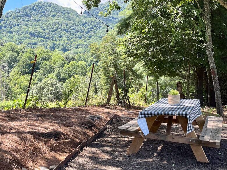 Peaceful Mountain Home Between Waynesville & Asheville - Clyde, North Carolina