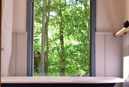 Private Woodland Retreat Along the Black River - Milford, Canada