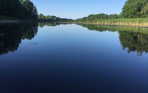 Private Woodland Retreat Along the Black River - Milford, Canada