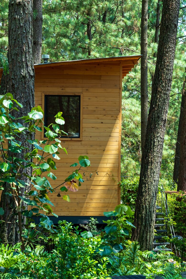 Modern Forest Retreat Among the Pines of Valle de Bravo - Valle de Bravo, Mexico