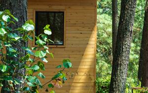 Modern Forest Retreat Among the Pines of Valle de Bravo - Valle de Bravo, Mexico