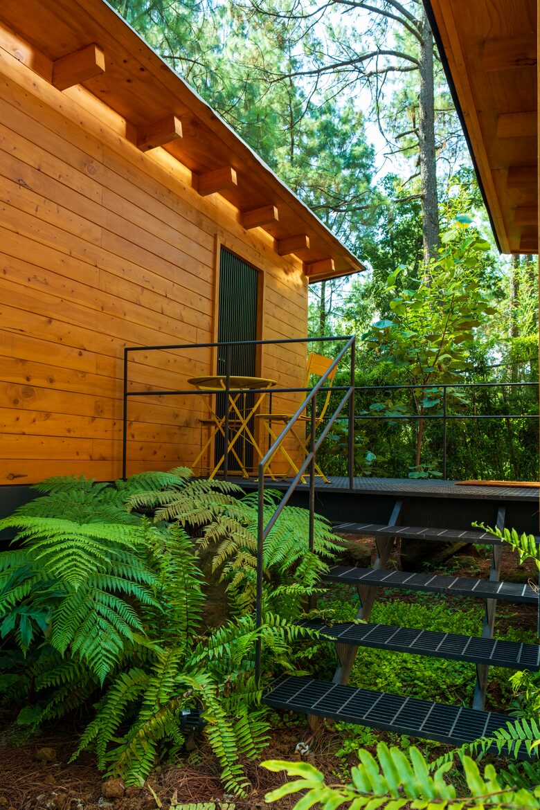 Modern Forest Retreat Among the Pines of Valle de Bravo - Valle de Bravo, Mexico