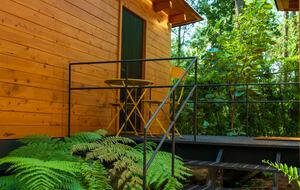 Modern Forest Retreat Among the Pines of Valle de Bravo - Valle de Bravo, Mexico