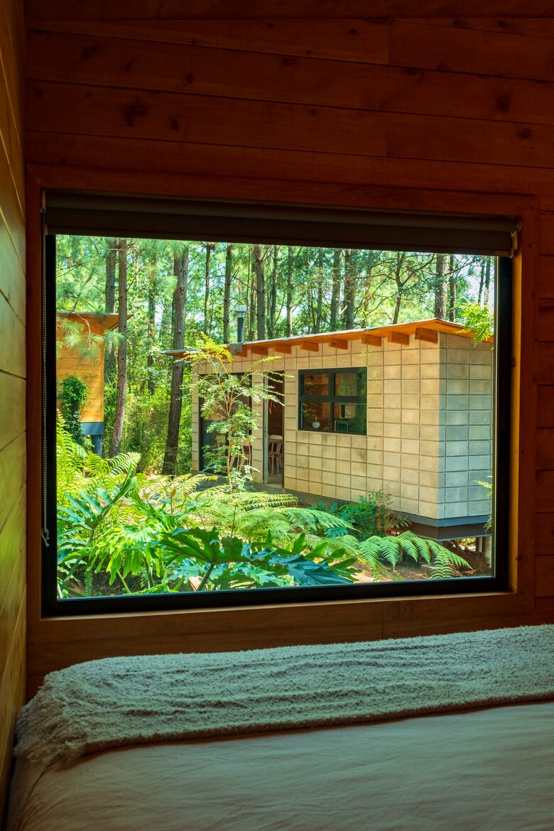 Modern Forest Retreat Among the Pines of Valle de Bravo - Valle de Bravo, Mexico