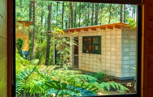 Modern Forest Retreat Among the Pines of Valle de Bravo - Valle de Bravo, Mexico
