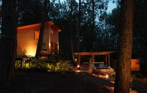 Modern Forest Retreat Among the Pines of Valle de Bravo - Valle de Bravo, Mexico