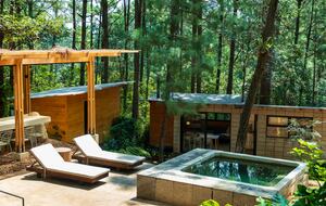 Modern Forest Retreat Among the Pines of Valle de Bravo - Valle de Bravo, Mexico
