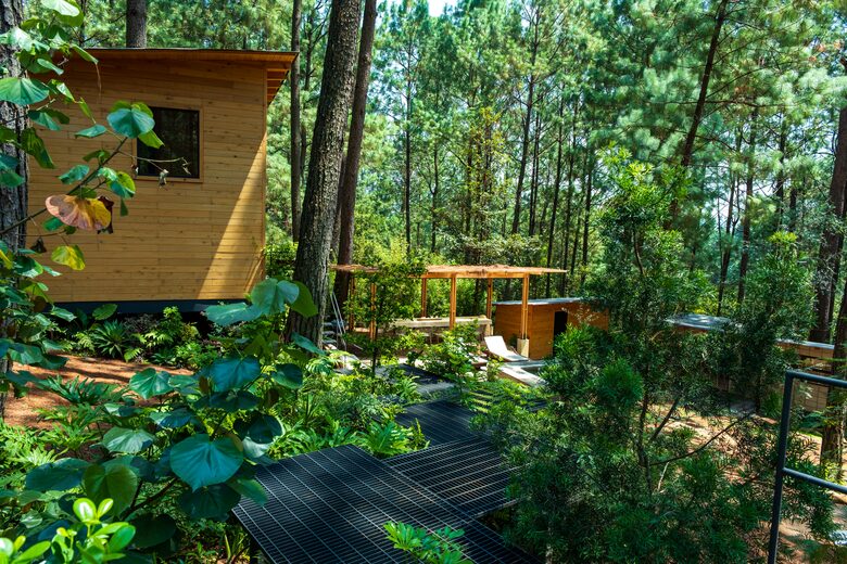 Modern Forest Retreat Among the Pines of Valle de Bravo - Valle de Bravo, Mexico