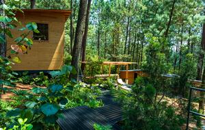 Modern Forest Retreat Among the Pines of Valle de Bravo - Valle de Bravo, Mexico