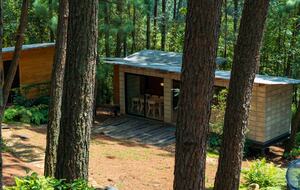 Modern Forest Retreat Among the Pines of Valle de Bravo - Valle de Bravo, Mexico