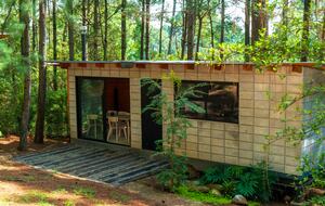 Modern Forest Retreat Among the Pines of Valle de Bravo - Valle de Bravo, Mexico