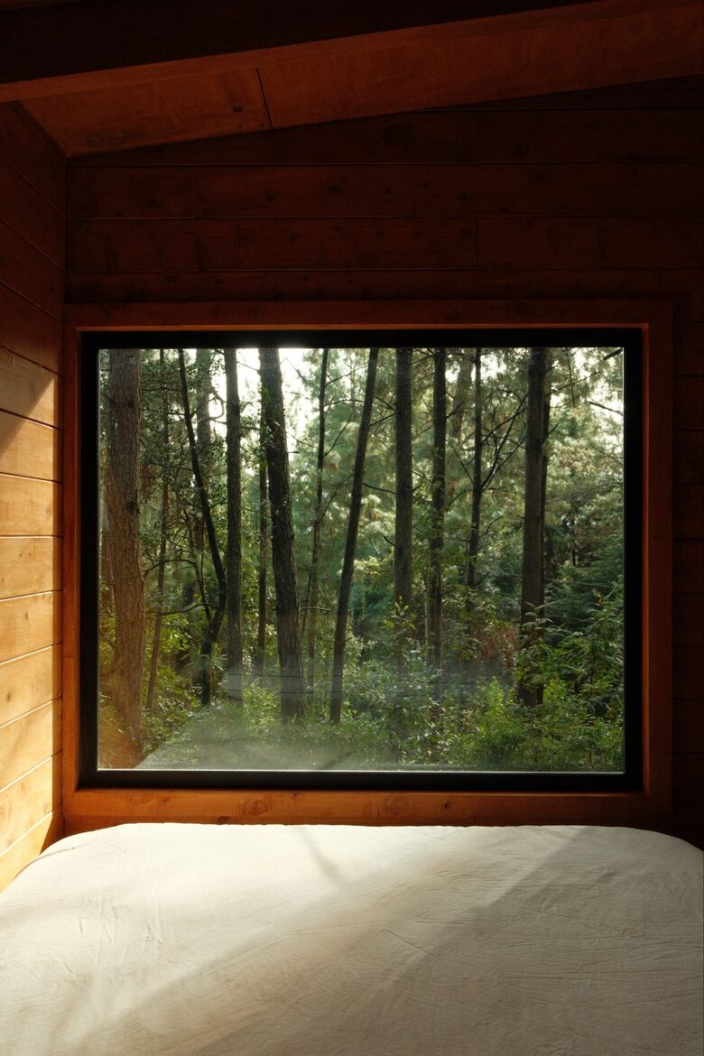 Modern Forest Retreat Among the Pines of Valle de Bravo - Valle de Bravo, Mexico