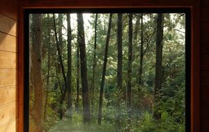 Modern Forest Retreat Among the Pines of Valle de Bravo - Valle de Bravo, Mexico